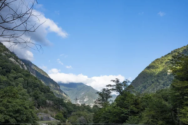 Montañas y bosques de Abjasia . — Foto de Stock