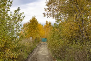 Ağaçlar sonbahar rengine boyanır..