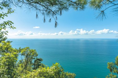 Pofuduk bulutlu mavi gökyüzüne karşı parlak kırmızı yapraklar..