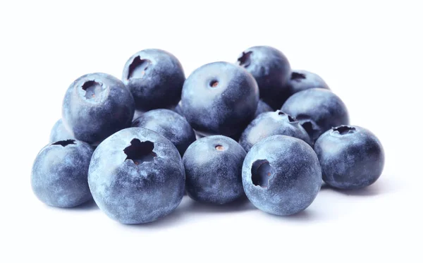 Haldy Blueberry — Stock fotografie