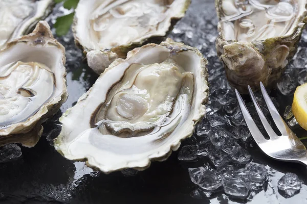 Set of oysters — Stock Photo, Image