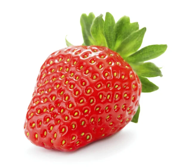 Single strawberry isolated — Stock Photo, Image