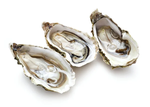Três ostras abertas — Fotografia de Stock