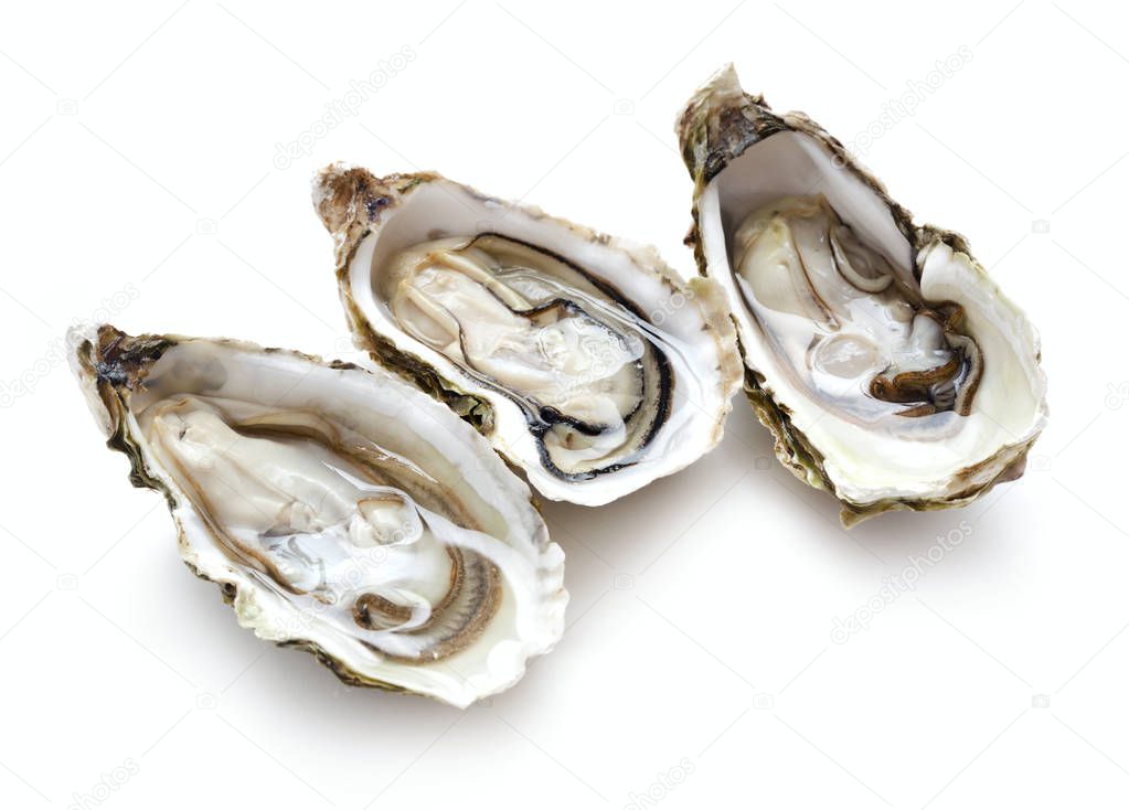 three opened oysters
