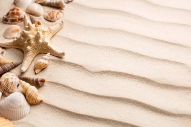 Arkaplan olarak kum tepeleri