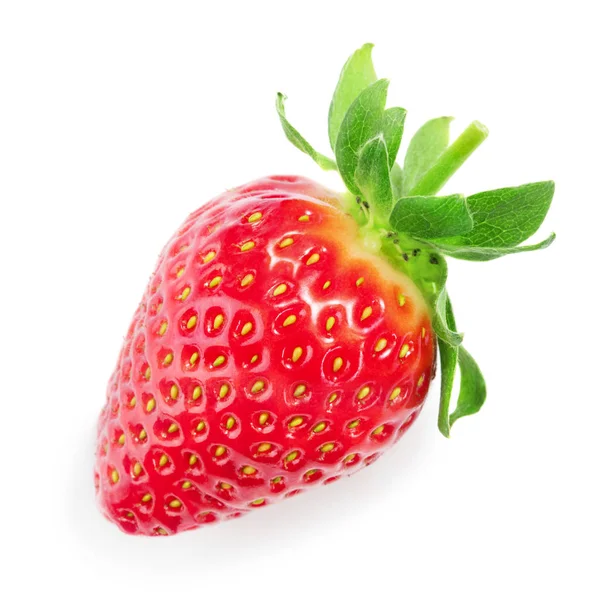 Single strawberry isolated — Stock Photo, Image