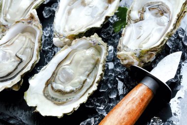 Buz ve limon ile taze istiridye