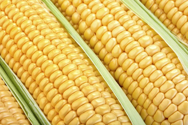 Close-up view of fresh corn — Stock Photo, Image