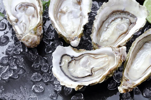 Fresh oysters with ice and lemon — Stock Photo, Image