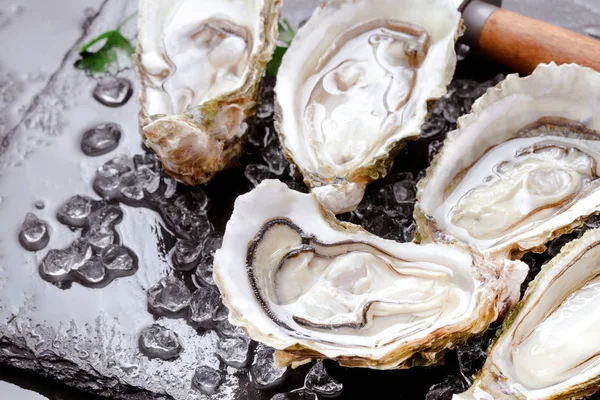 Fresh oysters with ice and lemon — Stock Photo, Image