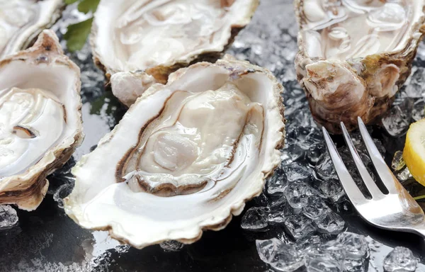 Fresh oysters with ice and lemon — Stock Photo, Image