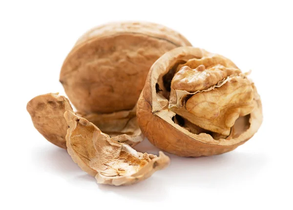 Ripe walnut isolated — Stock Photo, Image