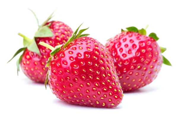 Fragola isolata su bianco — Foto Stock