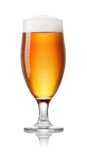 Bicchiere di birra — Foto Stock