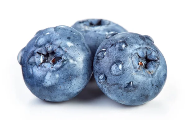 Frutos de arándano aislados — Foto de Stock