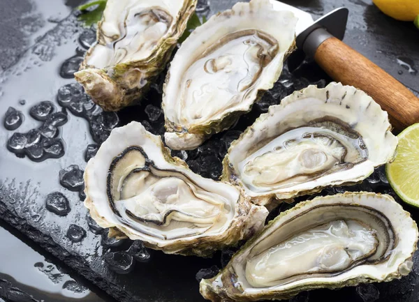 Set of oysters — Stock Photo, Image