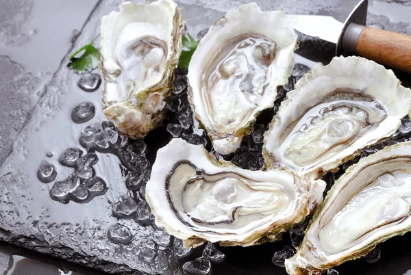 Fresh oysters with ice and lemon — Stock Photo, Image