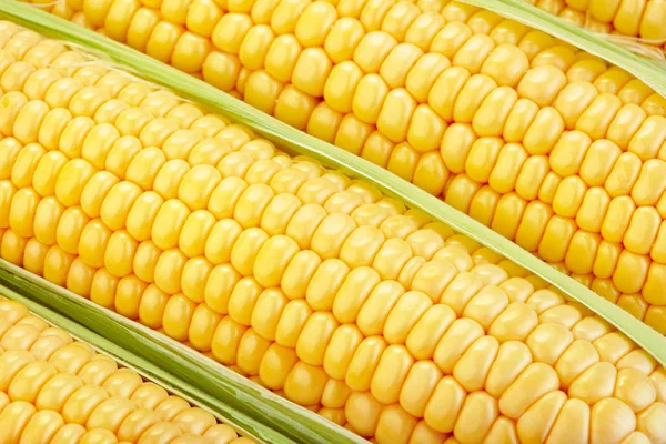 Close-up view of fresh corn — Stock Photo, Image