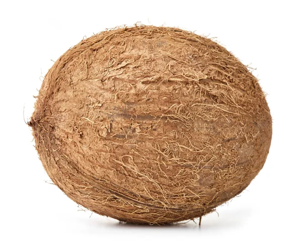 Jeden cały kokosowy — Zdjęcie stockowe