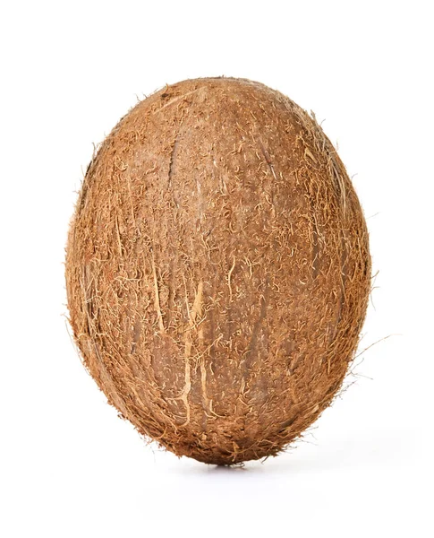 Één hele kokosnoot — Stockfoto