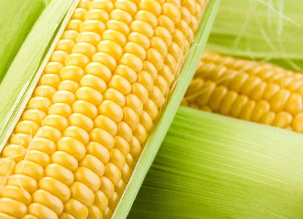 Close-up view of fresh corn — Stock Photo, Image