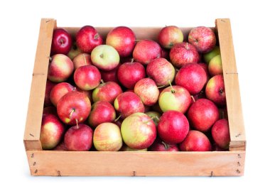 Beyaz arka plan üzerinde izole kutusunda taze elma