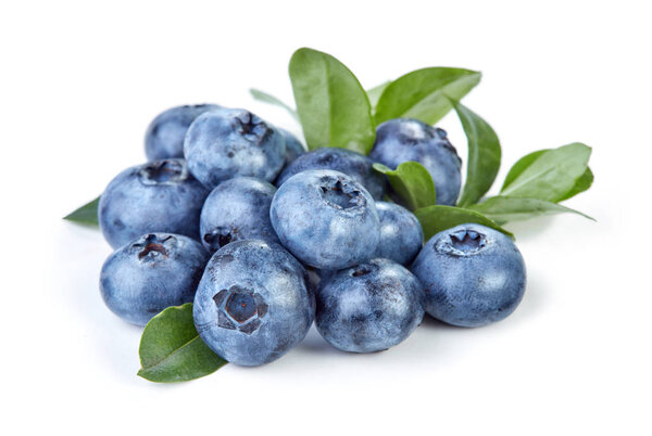 blueberry fruits isolated 