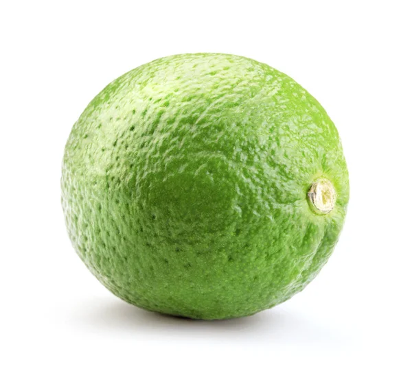 Single lime fruit isolated — Stock Photo, Image