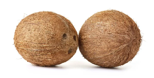 Deux noix de coco entières — Photo