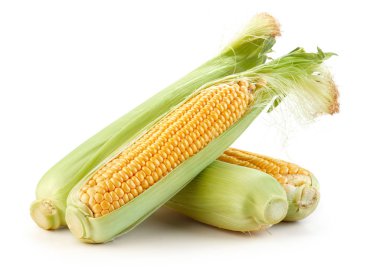 Yakın çekim görünümü taze Mısır