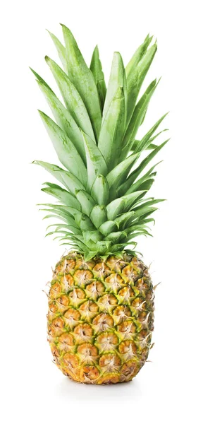 Enkele ananas geïsoleerd — Stockfoto