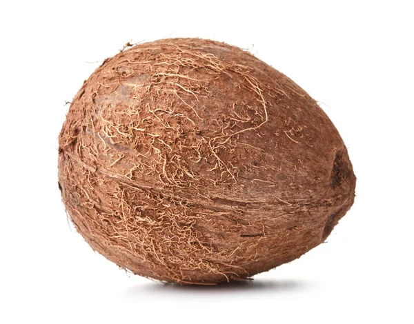 Enkele kokosnoot geïsoleerd — Stockfoto