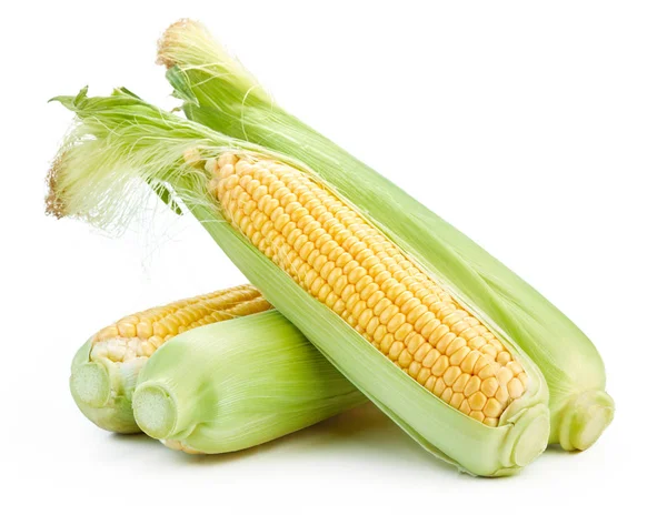Крупный план свежей кукурузы — стоковое фото