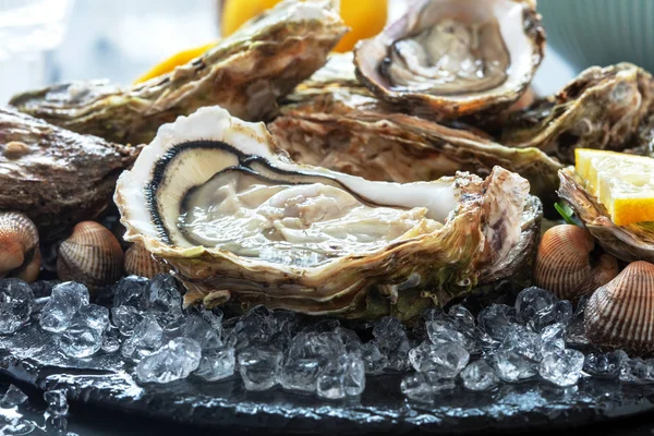 Fresh oysters with ice and lemon — Stock Photo, Image