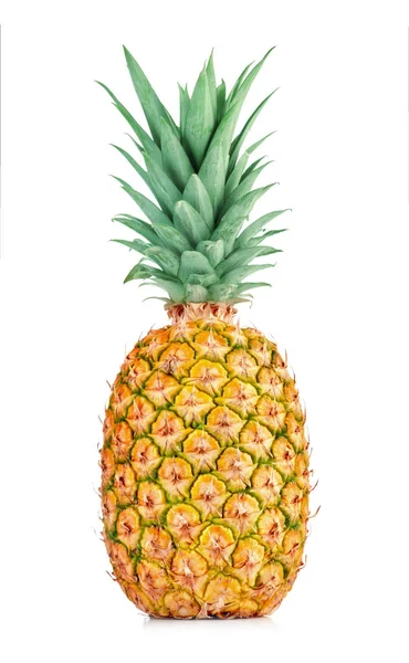 Enkele ananas geïsoleerd — Stockfoto