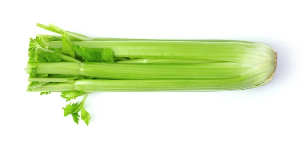 Větvička celer, samostatný — Stock fotografie