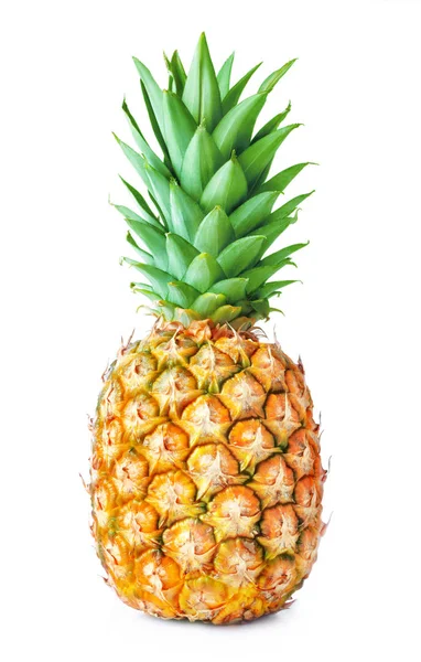 Enkele ananas geïsoleerd — Stockfoto