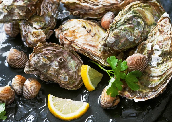 Fresh oysters with ice and lemon — Stock Photo, Image