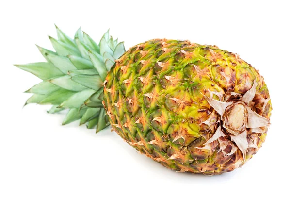 Whole Ripe Pineapple Fruit Isolated White Background — Stock Photo, Image