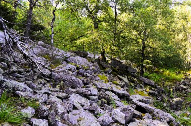 Ural Dağları. Aleksandrovskaya Sopka.
