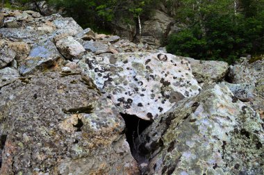 Ural Dağları. Aleksandrovskaya Sopka.