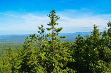 Ural Dağları. Aleksandrovskaya Sopka.