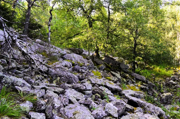 Les Montagnes Oural Aleksandrovskaya Sopka — Photo