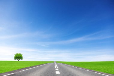 Yol, alan, ağaç ve gökyüzü. Ulaşım kavramı