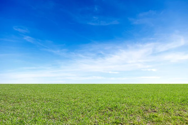 Wiese Und Himmel Natürliches Konzept — Stockfoto