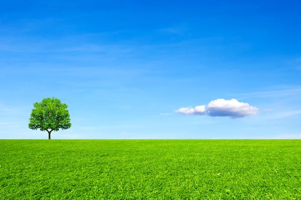 Çayır Ağaç Gökyüzü Doğal Kavramı — Stok fotoğraf