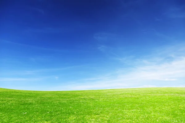 在春天的日子里 阳光明媚的理想草地 完美的背景和横幅 — 图库照片