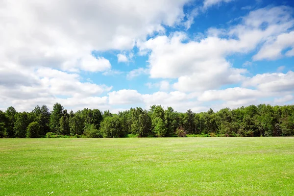 Wiese Bäume Und Himmel Sommer — Stockfoto