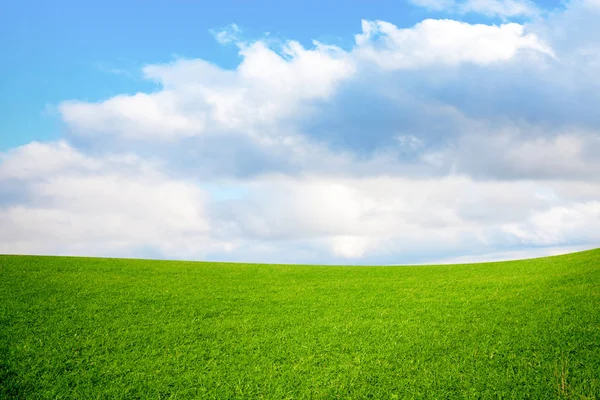 绿茵的草地和多云的天空 — 图库照片