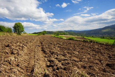 Sürülmüş arazi, sonraki hasat için hazırlık